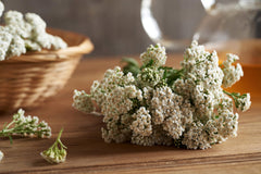 Naturegrail Yarrow Tea dried flowers suitable for loose-leaf infusion