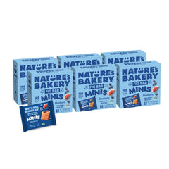 Nature's Bakery Fig Bar Minis Blueberry pack—wholesome on-the-go snack with real fruit flavor.