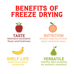 Nature's Turn Freeze-Dried Strawberry Crisps smoothie topper closeup for quick flavor