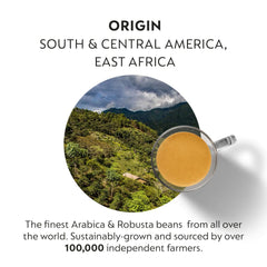 Nespresso Vertuo Melozio capsule offering smooth balance and honey tones