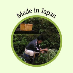 NIHON ICHIBAN Wasabi Paste enhances grilled meat and fish flavors.