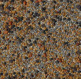 No-Till Solutions 13-seed mix bag ready for no-till planting.