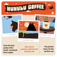 Farm-to-cup story behind Nunulu Kona coffee from harvest to roast.