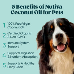 Nutiva virgin coconut oil jar close-up for skin and hair care benefits.
