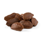 NUTS U.S. Brazil nuts in shell, natural snack with rich flavor.