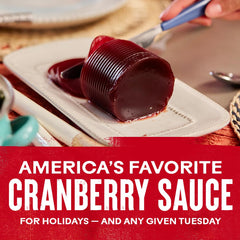 Ocean Spray Jellied Cranberry Sauce served on brie for appetizers