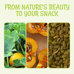 Oh! Nuts roasted pumpkin seeds as a wholesome keto-friendly snack