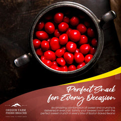 Oregon Farm Fresh Snacks Boston Baked Beans Candy roasted peanuts — protein-rich snack for energy