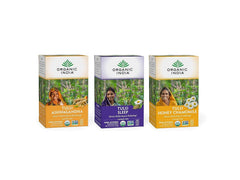 Organic India iced Tulsi tea bags front view for a refreshing caffeine-free option.