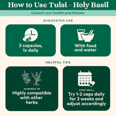Organic India Tulsi Original dried tulsi leaves yield robust flavor.