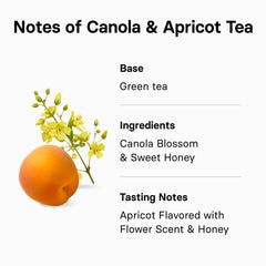 Osulloc Canola & Apricot tea brewed cup displaying warm amber hue and inviting aroma.