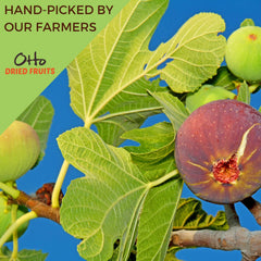 Ottonuts dried figs label showing simple ingredients and no artificial flavors