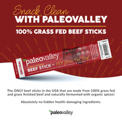 Paleovalley Beef Sticks Original packaging displayed on a store shelf.