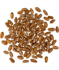 Palouse Brand hard red winter wheat berries bag ideal for sprouting or milling at home