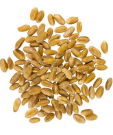 Palouse Brand hard white wheat berries package closeup showing glyphosate-free quality for home use