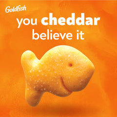 Pepperidge Farm Goldfish close-up of cracker texture highlighting crisp crunch