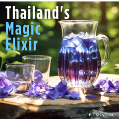 PickNature Butterfly Pea Tea blue color highlighting cocktails and desserts