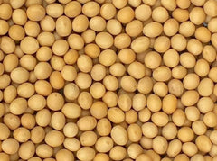 Pinstar Premium soybeans 3lb bag ideal for homemade soy milk and tofu