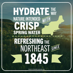 Poland Spring water shows naturally occurring minerals for balanced flavor.