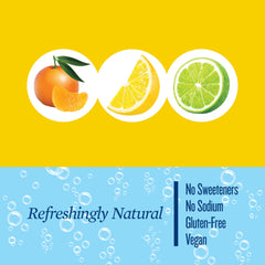 Polar Seltzer Lemon can close-up presents refreshing citrus with zero sugar.