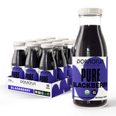 Pomona Organic Blackberry Juice bottle 8.4 oz front view for on-the-go hydration