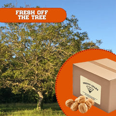 Presto Sales low-carb high-protein walnuts suitable for keto and vegan meals.