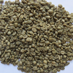 Primos Coffee Co. 10 lb green beans from Nicaragua Caturra estate for home roasting.