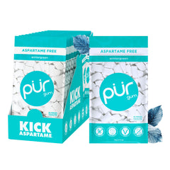 PUR Gum Wintergreen bag with resealable packaging for on-the-go freshness.