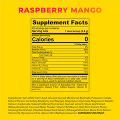 Redmond Re-Lyte Energy Raspberry Mango label, flavor-forward and energizing for daily use.