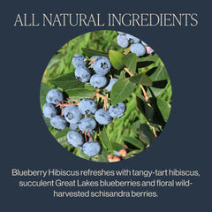 Rishi Tea Blueberry Hibiscus ready-to-steep iced tea in a glass.