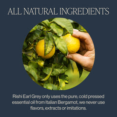 Rishi Tea Earl Grey cup steaming to convey a comforting, full-bodied flavor.