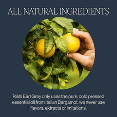 Steeping Rishi Tea Earl Grey creates a full-bodied, energizing cup.