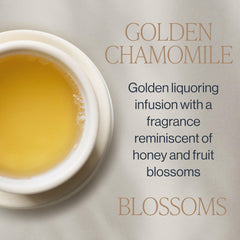 Rishi Tea Golden Chamomile Blossoms teapot releasing floral, honeyed aroma.