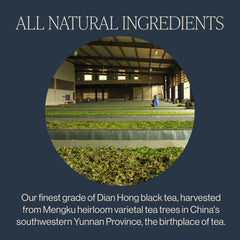 Rishi Tea Golden Yunnan teapot brew showing full-bodied infusion ready to savor