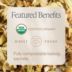 Close-up of Rishi Tea Greek Mountain Tea box display showing a 15-sachet pack