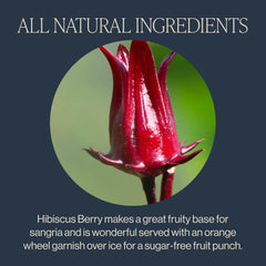 Rishi Tea Hibiscus Berry infusion-glass captures a bright red infusion with tart berry aroma.
