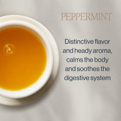 Rishi Tea Peppermint packaging displays organic, eco-friendly sachets