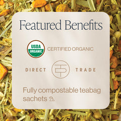 Rishi Tea Turmeric Ginger sachet pack ready for daily ritual and convenience.