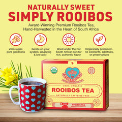 Rooibos Rocks biodegradable tea bags highlighting sustainability.