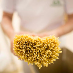Rustichella d'Abruzzo bronze-cut spaghetti texture for sauce cling and bite.