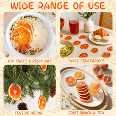 Rylenor dried orange slices perfect for baking desserts with fruity brightness.