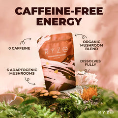 RYZE Mushroom Chicory blend bowl with six adaptogens ready for daily use