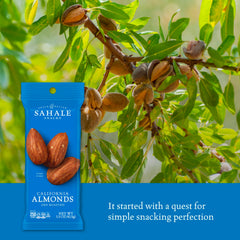 Grab-and-go pouch of Sahale almonds ready for travel snacking.