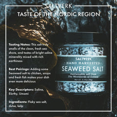 Saltverk Icelandic coast hand-harvest scene highlighting sustainable production.