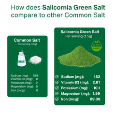 SaltWise Green Salt vs regular salt visual comparison for lower sodium