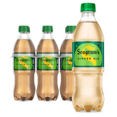 Seagram's Ginger Ale bottle hero for a refreshing sip or mixer