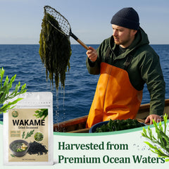 SEAYOFA wakame in resealable pouch maintaining freshness