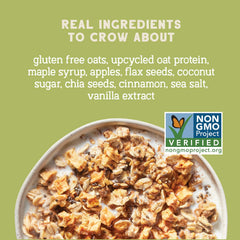 Seven Sundays Protein Oats Apple Cinnamon served warm for a cozy breakfast.