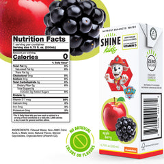 ShineWater Paw Patrol Apple Berry juice box side nutrition label visible