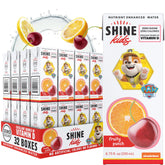 ShineWater Paw Patrol fruit punch juice box front view with vitamin D for kids hydration